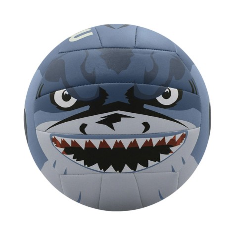 MS500-SHARK2